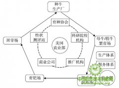 <strong>美国畜牧业出产系统特征及对我国</strong>